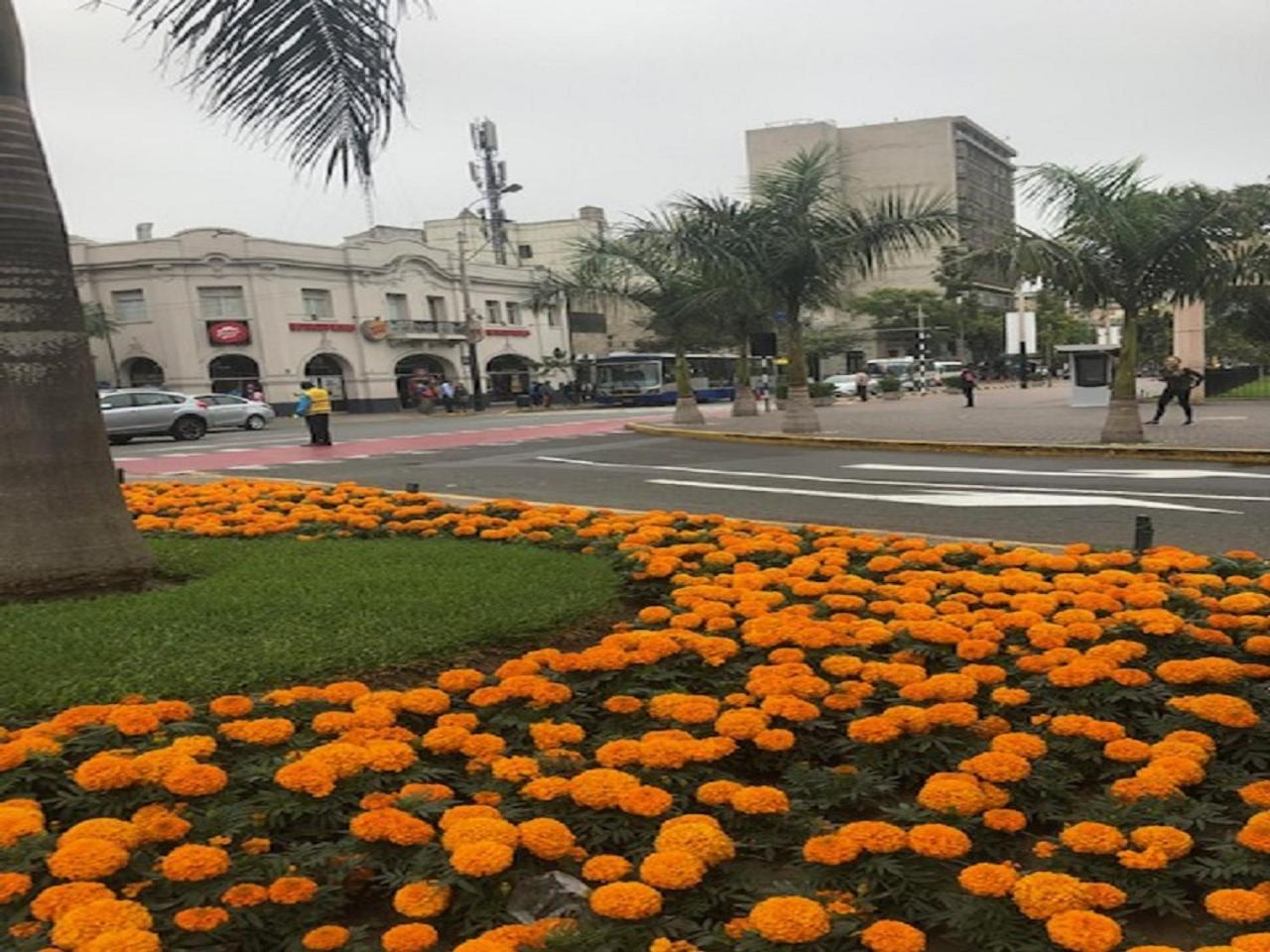 A Perfect Vacation Getaway Apartment Lima Bagian luar foto